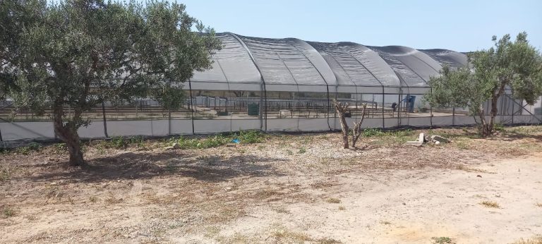 Projet agricole sur un terrain d'1 hectare