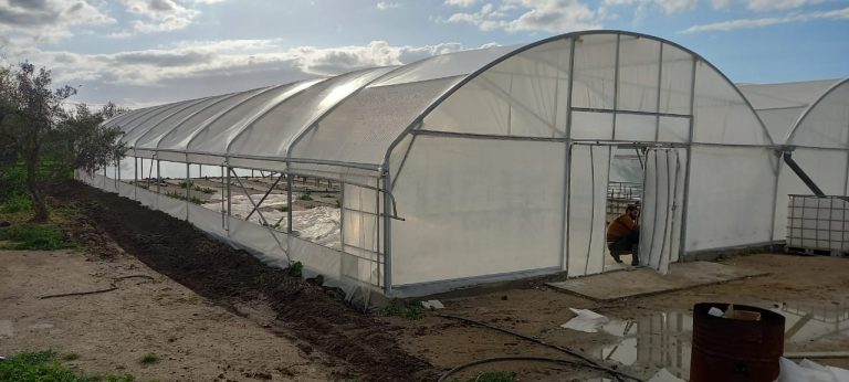 Projet agricole sur un terrain d'1 hectare