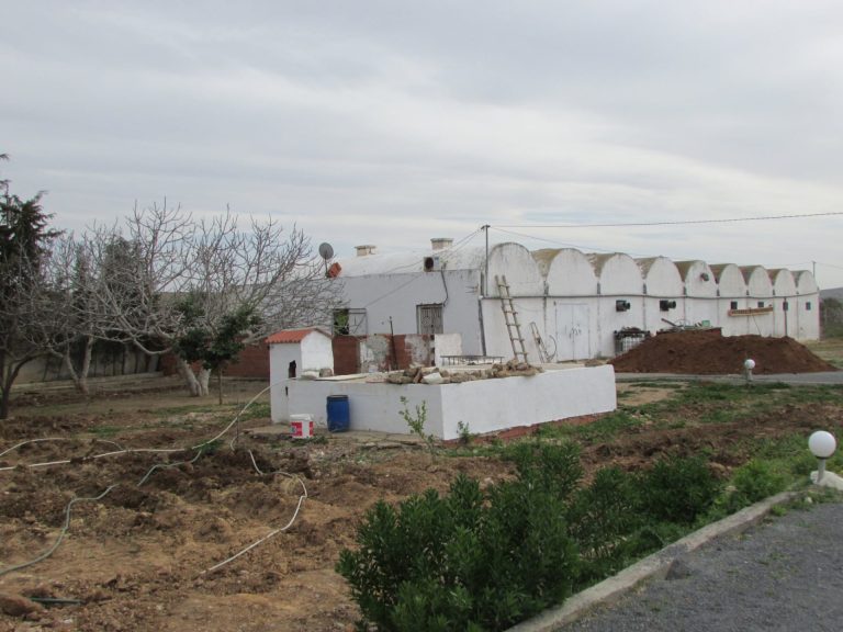 Belle ferme 7 hectares productive