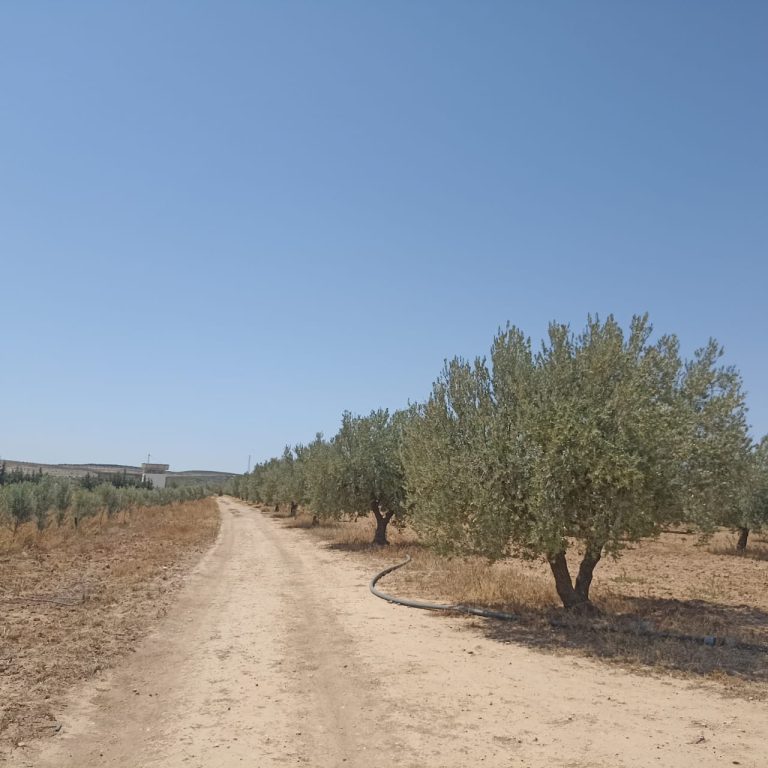 Ferme 65 km de tunis