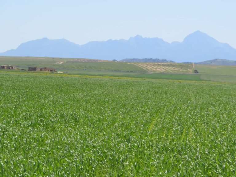 Excellente 22 hectares plat