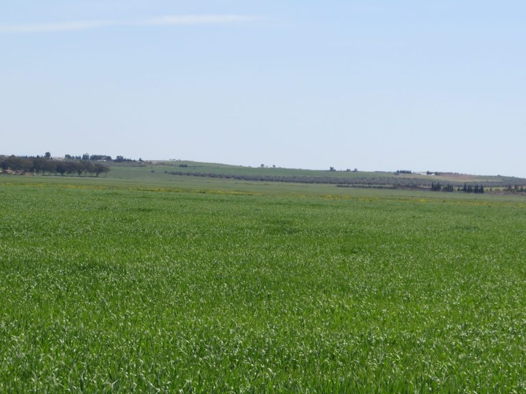 22 hectare terrain plat et fertile