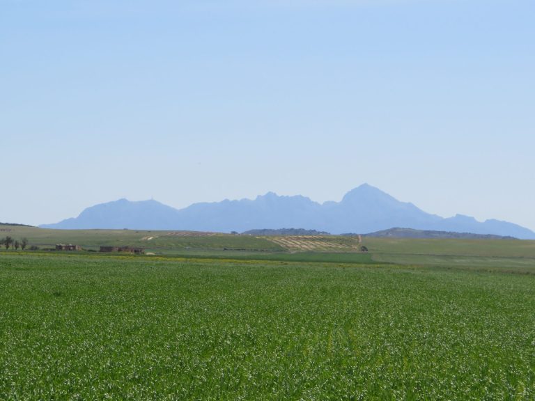 22 hectare terrain plat et fertile