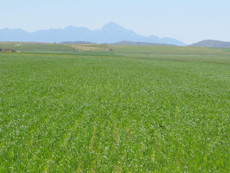 22 hectare terrain plat et fertile