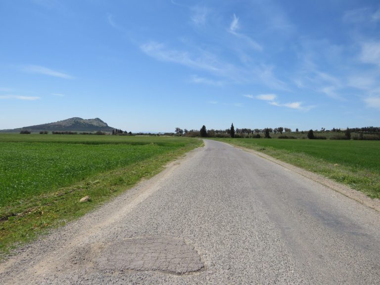 22 hectare terrain plat et fertile