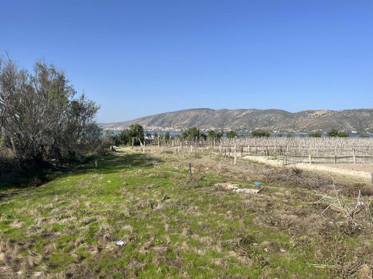 Terrain en bord de lagune