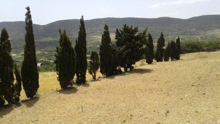 Terrain rafraf 3050 m2 avec maison &agrave; r&eacute;nover