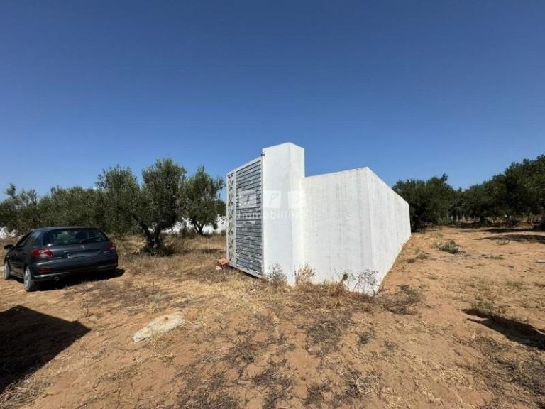 Terrain verdon t2023