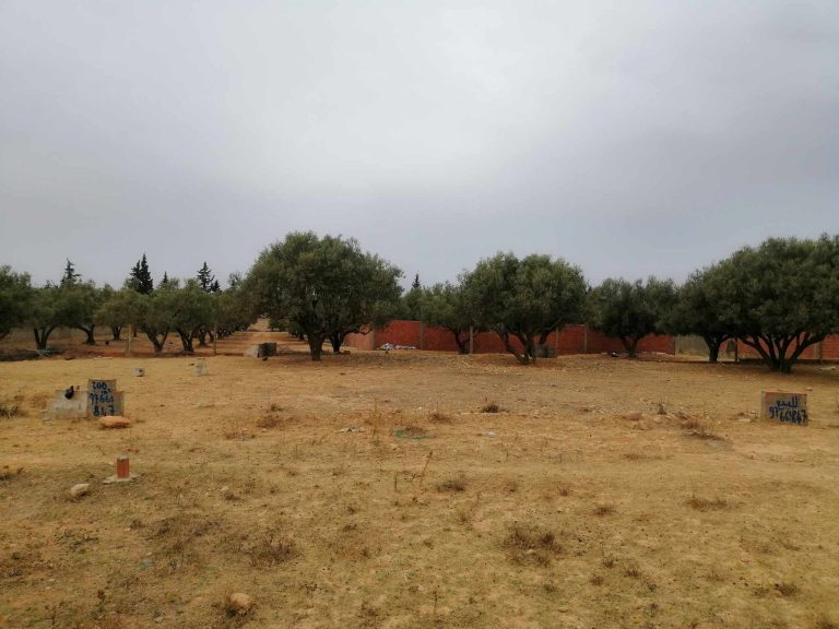 Terrain a oued ellil