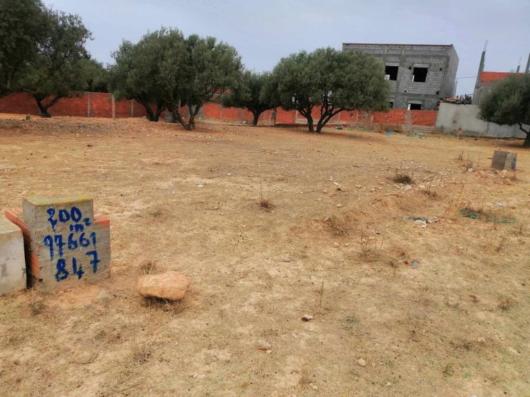 Terrain a oued ellil