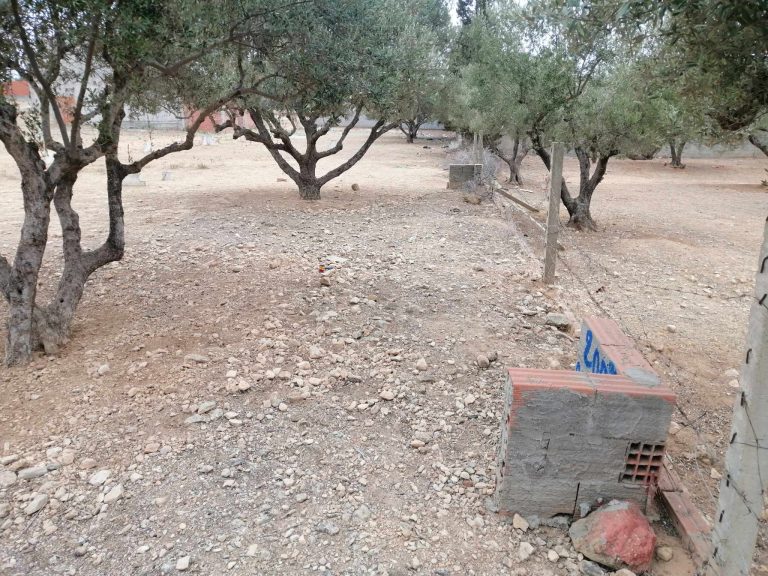 Terrain a oued ellil