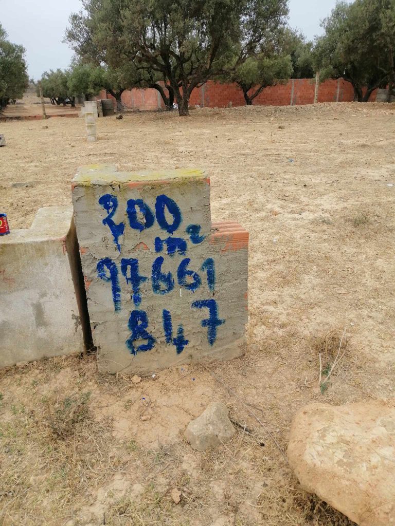 Terrain a oued ellil