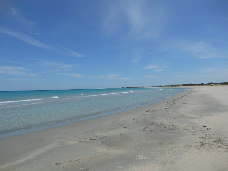 Terrain avec façade sur mer de 03 ha