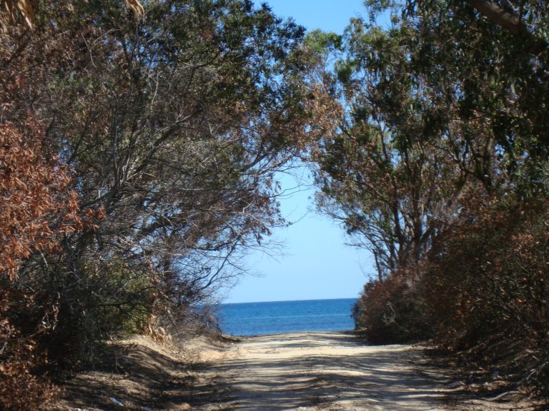 Terrain de 3 hectare avec fa&ccedil;ade sur mer