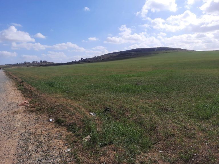 Terrain agricole situe a birine