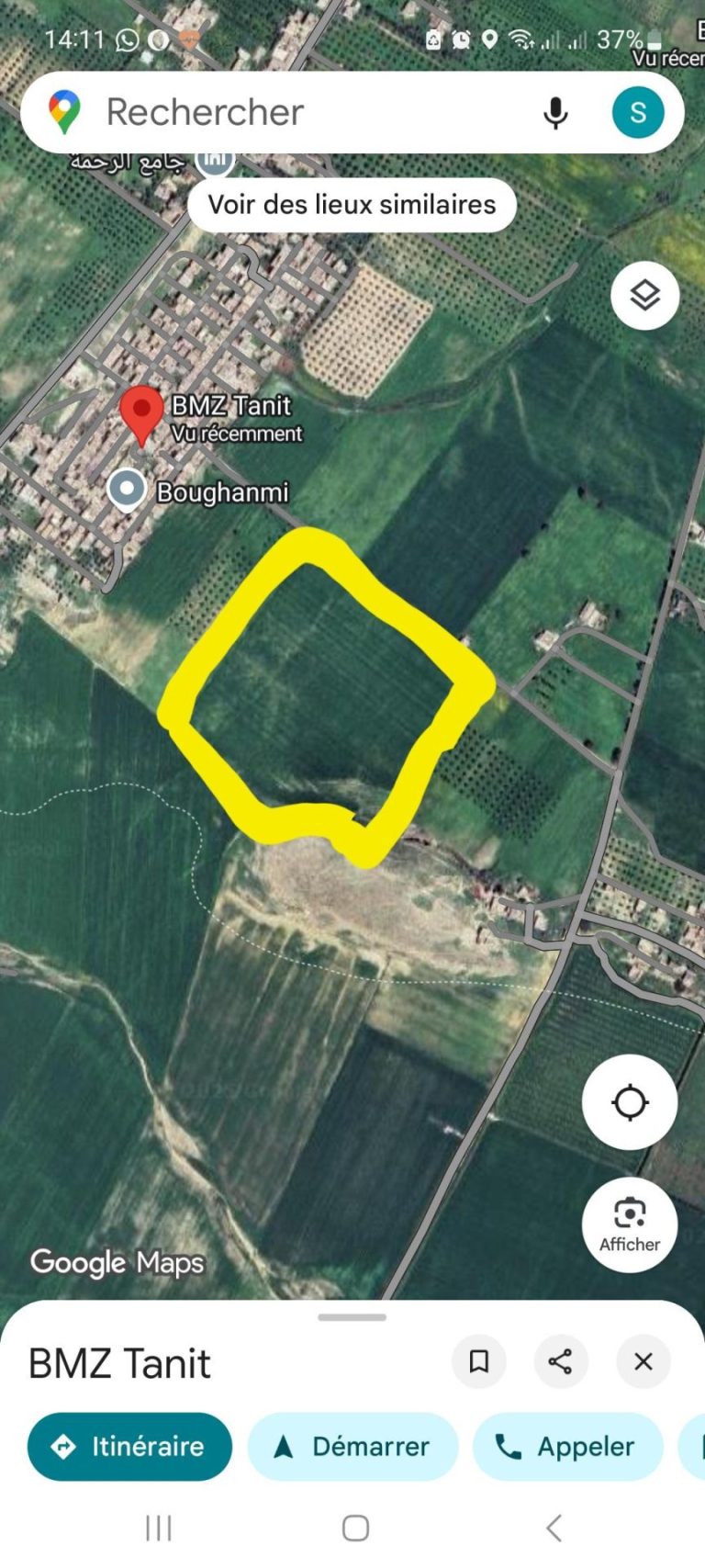 Terrain agricole situe a birine