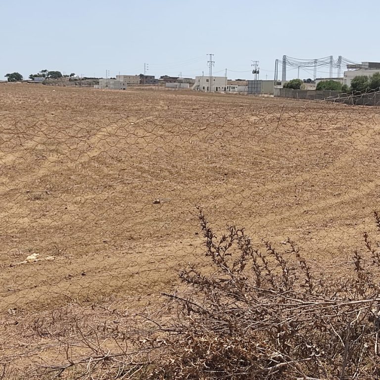 Projet agricole
