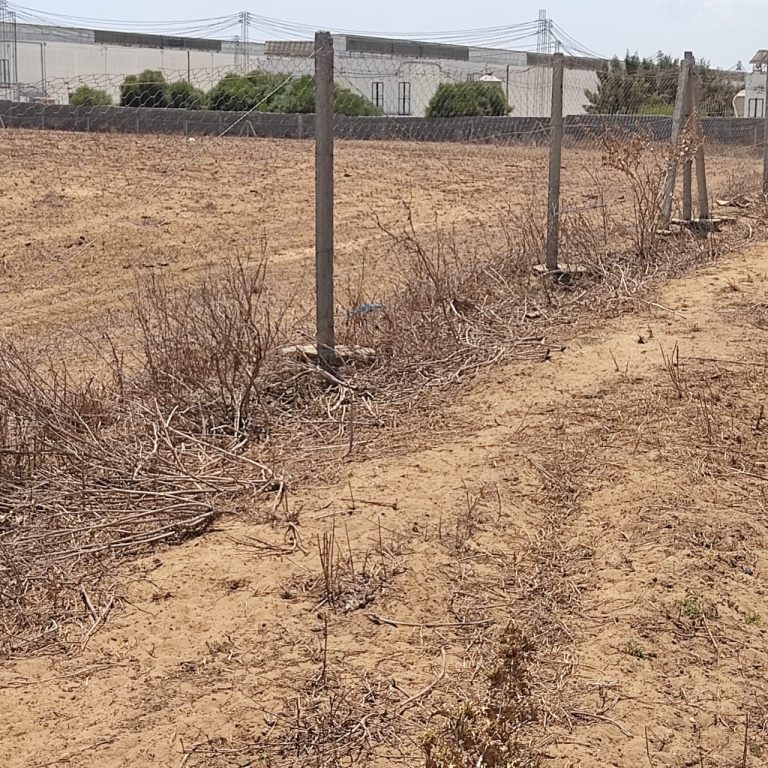 Projet agricole