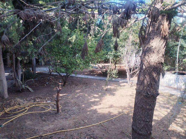 Maison avec un grand jardin