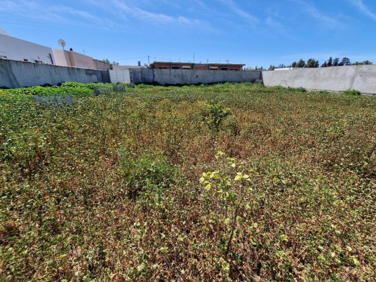 Terrain titre individuel 793 m2 &agrave; la soukra