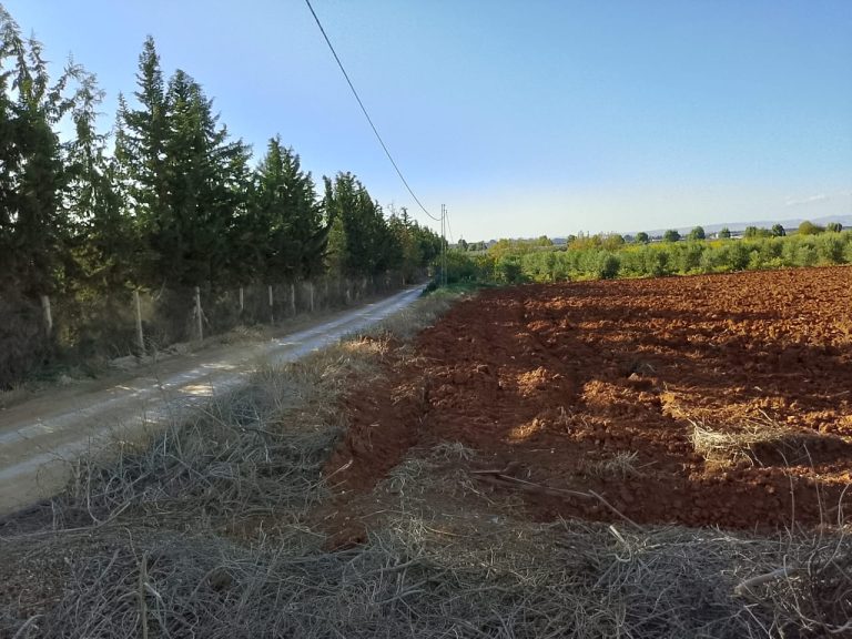 Terrain nu sidi thabet de 6312 m