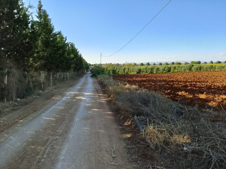 Terrain nu sidi thabet de 6312 m
