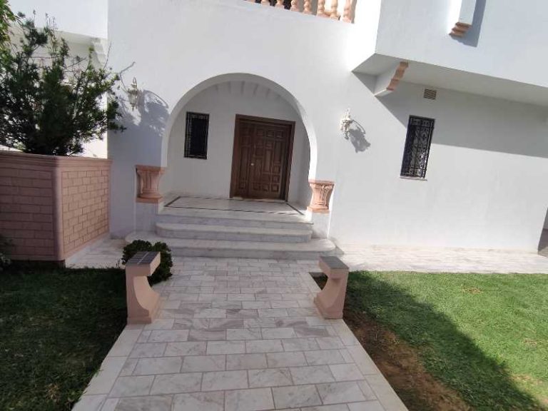 V263 villa smoothie hammamet yasmine