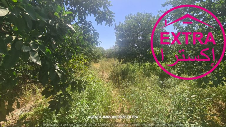 48eme campagne &agrave; nabeul