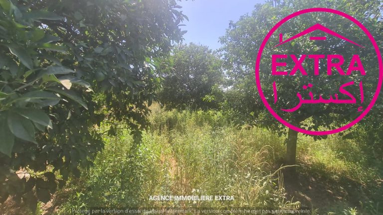 48eme campagne &agrave; nabeul
