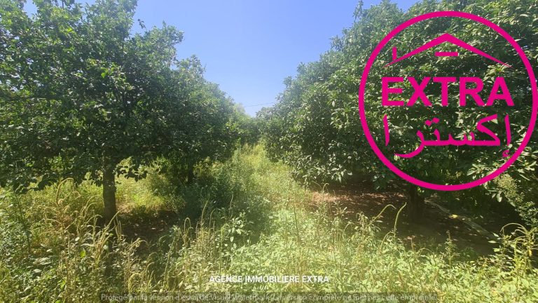 48eme campagne &agrave; nabeul