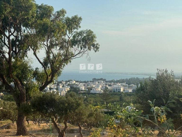 Terrain elyes t1010 hammamet