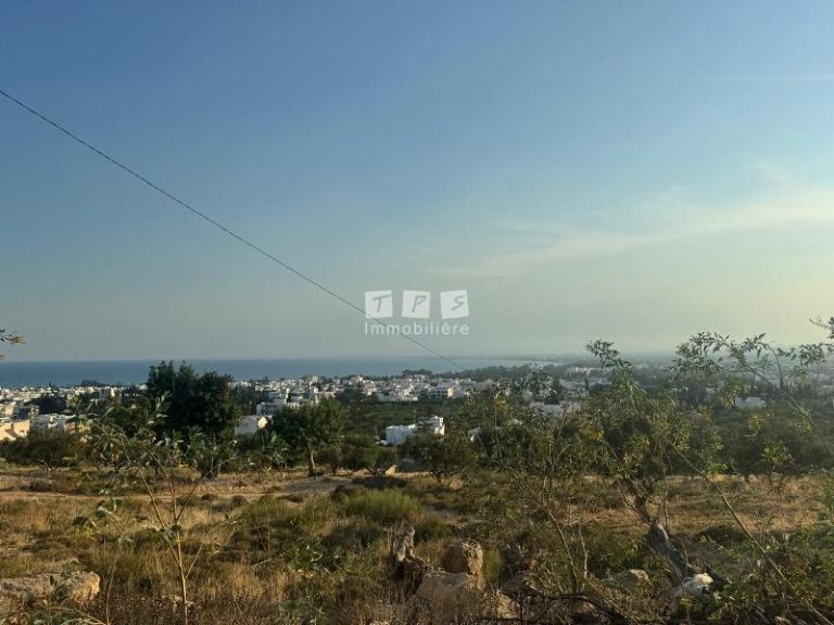 Terrain elyes t1010 hammamet