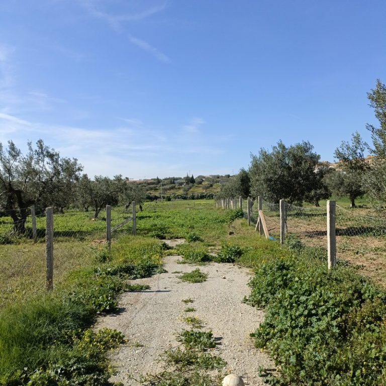 Av terrain 1680m proche hammamet yasmine
