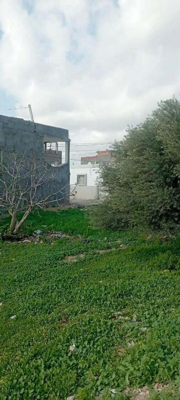 Deux terrains &agrave; korba