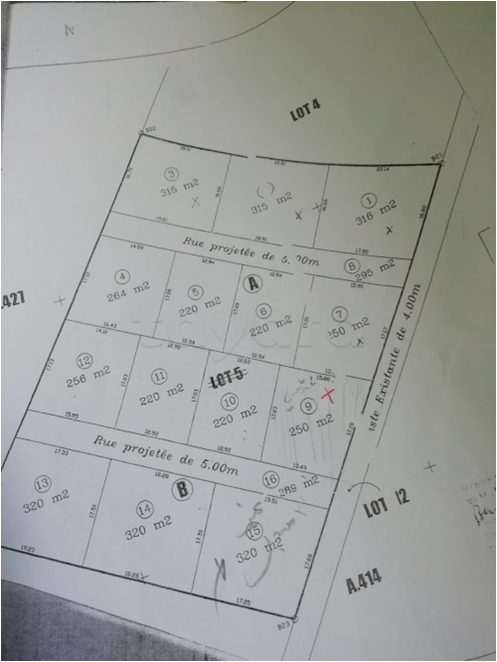 Terrain constructible &agrave; hammamet sud 250 m 75 000