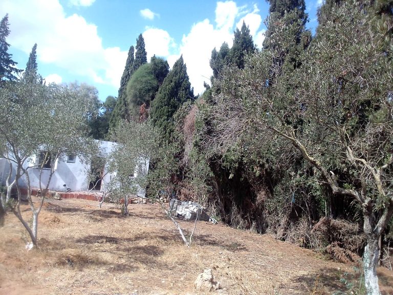 Terrain maison route de la plage