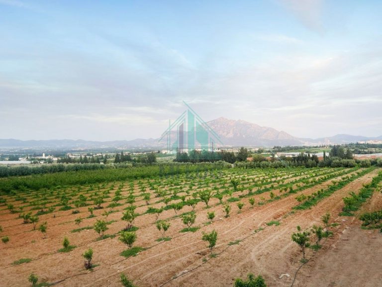 Ferme de 3 hectares &agrave; mornag