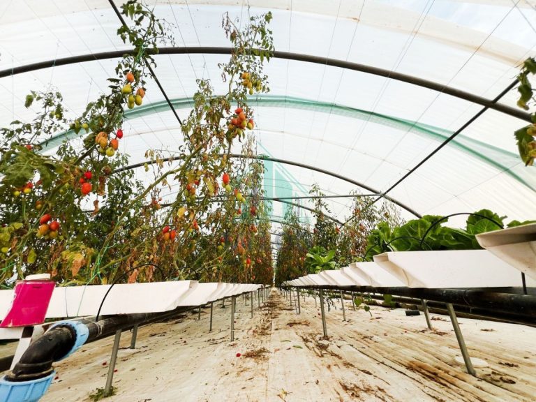 Ferme de 3 hectares &agrave; mornag