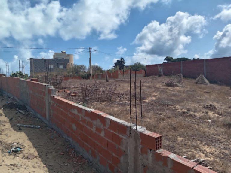 Lot de terrain au nadhor