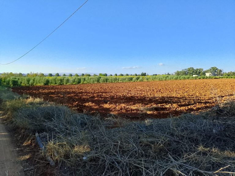 Terrain nu à sidi thabet