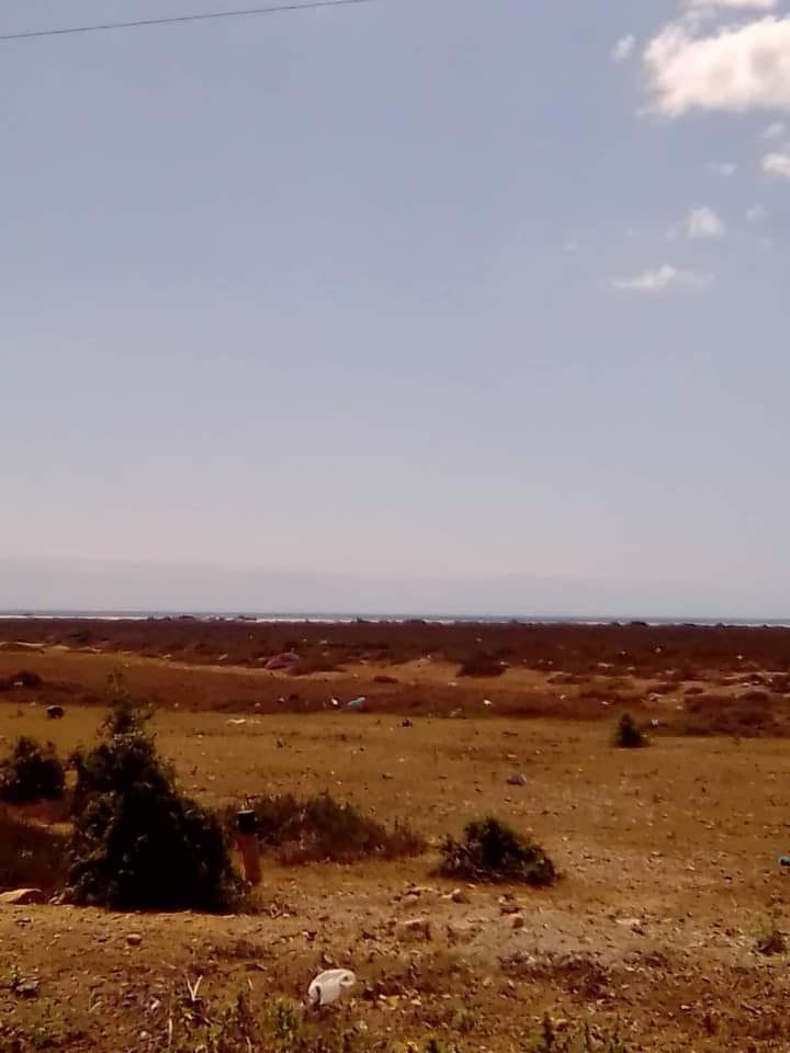 1000m khomssa hamammet sud
