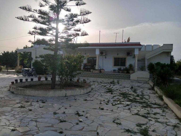 Ferme et villa sur la route principale d'utique