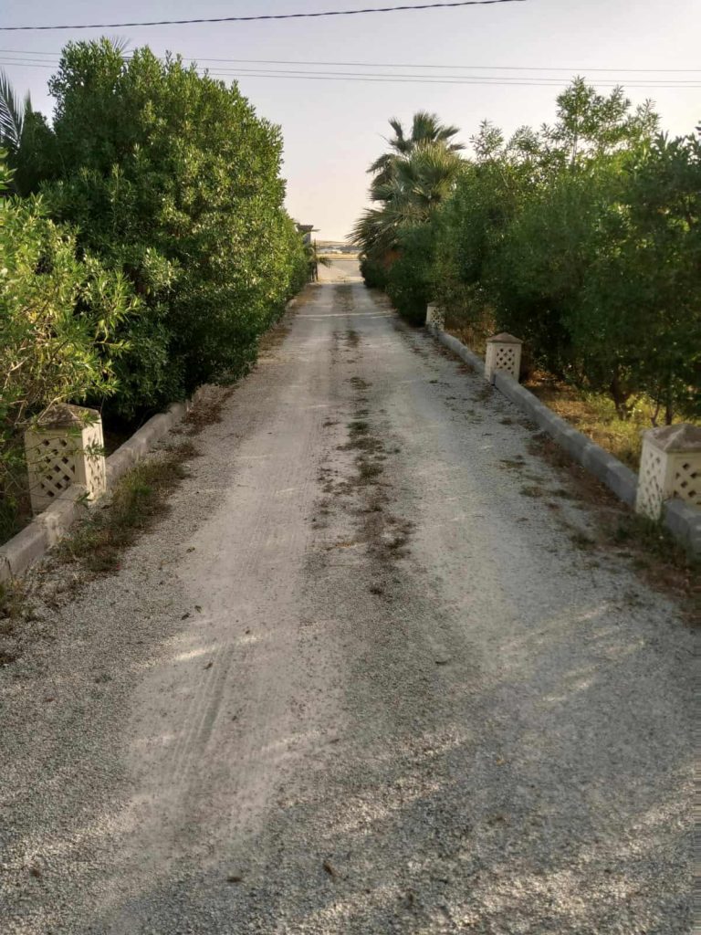 Ferme et villa sur la route principale d'utique