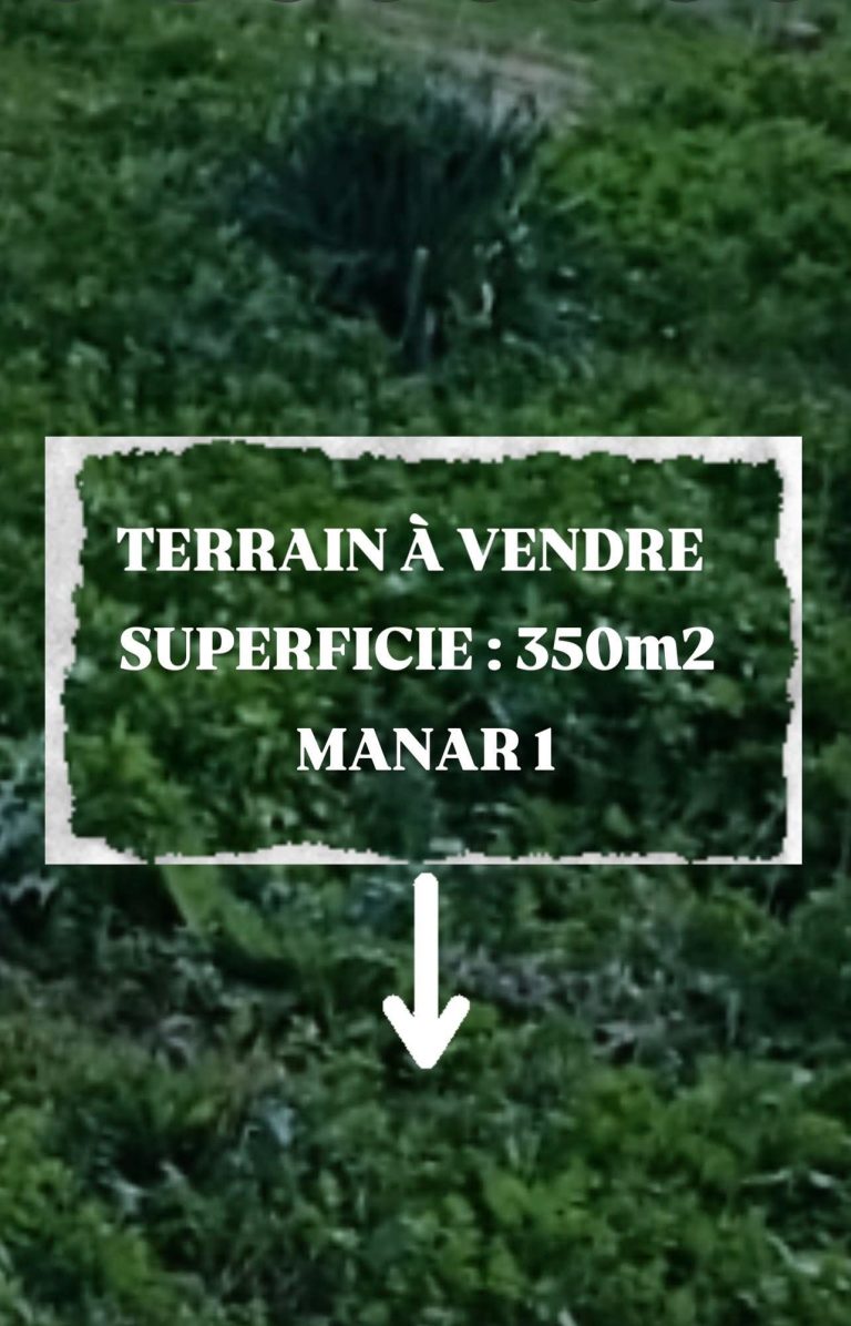 Terrain 420 md manar 1