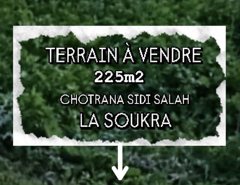 Terrain 190 md chotrana 3