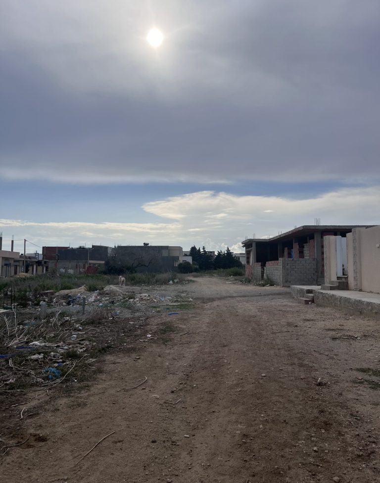 Terrain 228m2