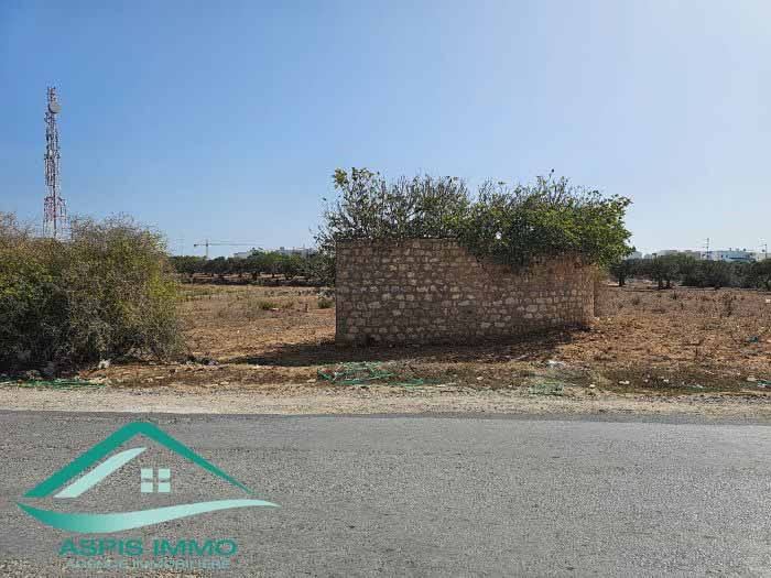 Vt861 terrain 246 m2 &agrave; kelibia