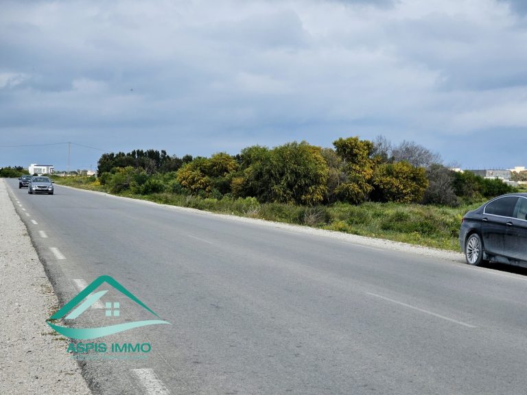 Vt983 terrain 1000 m2 &agrave; kelibia