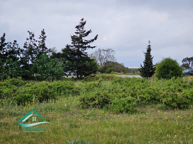 Vt983 terrain 1000 m2 &agrave; kelibia