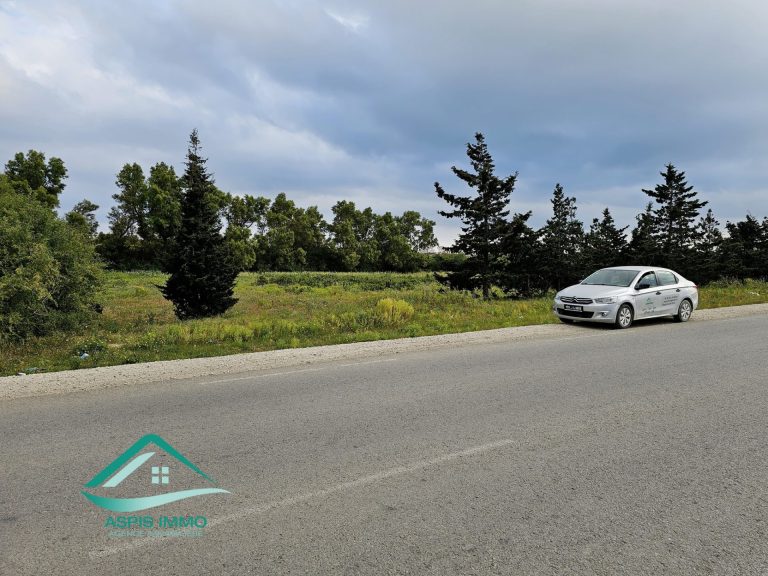 Vt983 terrain 1000 m2 &agrave; kelibia